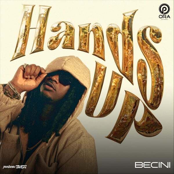 Cover art for HANDS UP